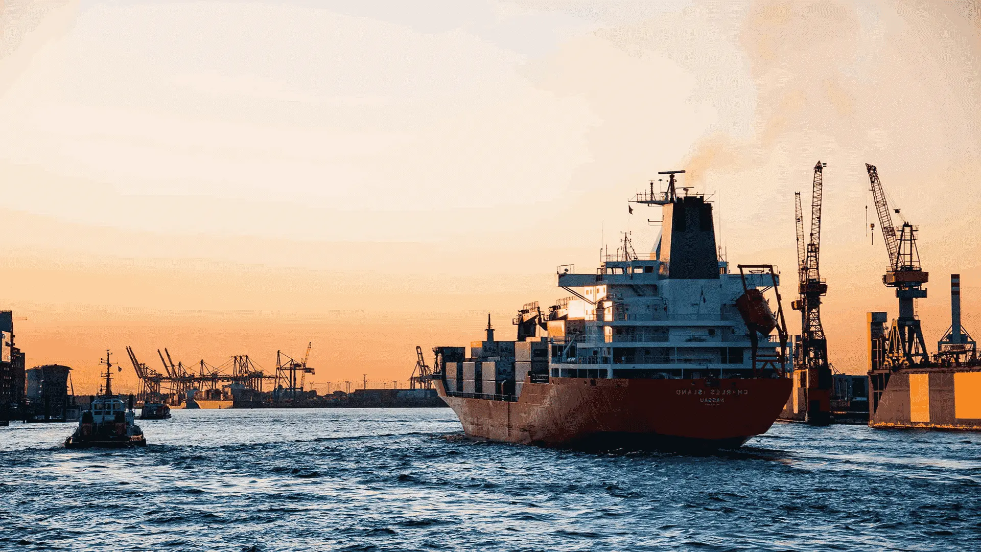 pexels-martin-damboldt-799091-min reversed